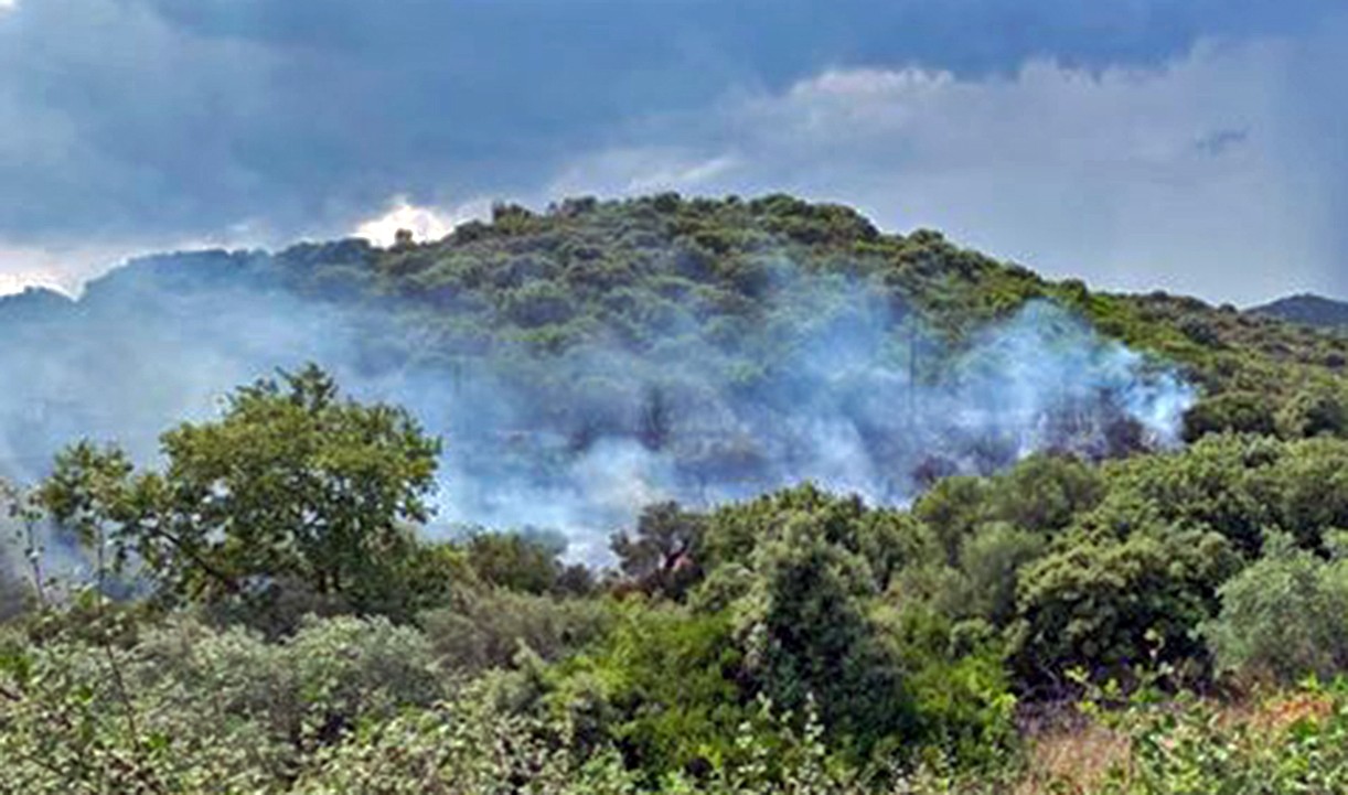 Δήμος Παγγαίου: Πυρκαγιά στην παραλιακή Εγνατία Οδό